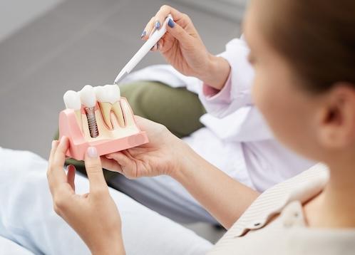 A dentist showing a patient a dental implant model